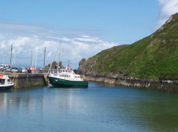 Tocht Te voet West Cork - An Gleann Loop - Photo