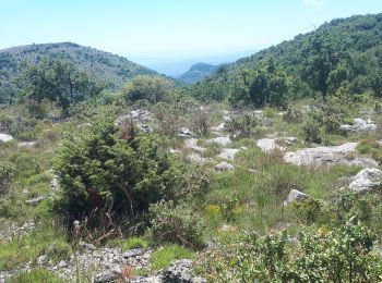 Randonnée Marche Saint-Jeannet - St=Jeannet  Les deux Baous - Photo