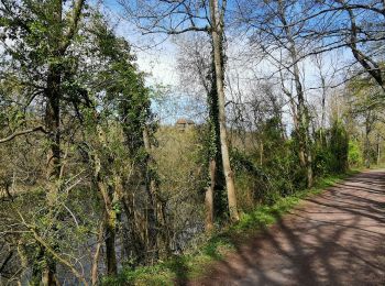 Excursión Bicicleta híbrida Baron-sur-Odon - VTC_Vallées_de_l'Orne_et_de_la_Laize_36_km - Photo