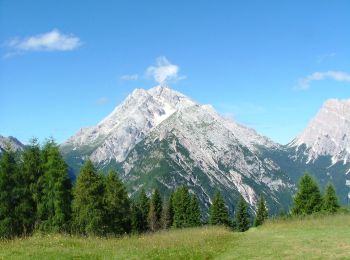 Trail On foot Calalzo di Cadore - IT-261 - Photo