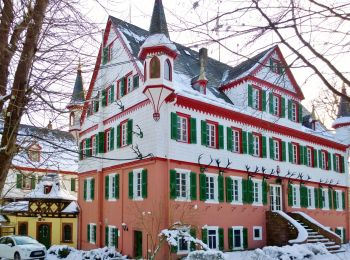 Excursión A pie Michelstadt - Rundwanderweg Gönz 3 : Eulbach-Weg - Photo