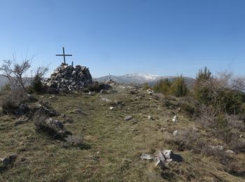 Tocht Stappen Bézaudun-les-Alpes - Mont Estellier au départ de Bézaudun - Photo