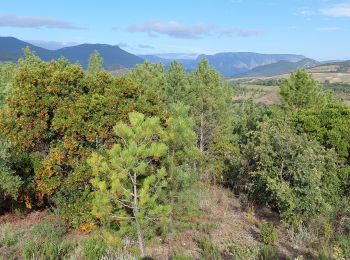 Excursión Senderismo Prades-sur-Vernazobre - Prades-Broutelade  - Photo