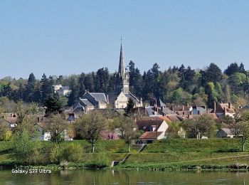 Trail Walking Gien - Gien à briare 45 - Photo