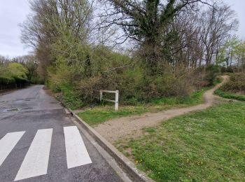 Percorso Marcia Saint-Arnoult-en-Yvelines - Yvelines_Saint-Arnoult=>BoisDeRochefort=>Rochefort - Photo