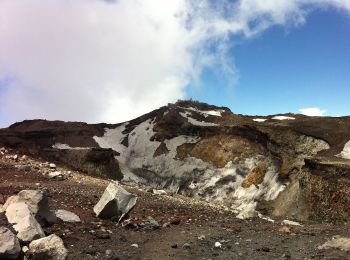 Trail On foot  - Kawaguchiko Trail [Descent] - Photo