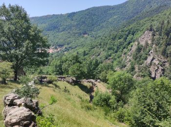 Excursión Senderismo Labastide-sur-Bésorgues - Autour de Freyssenet  - Photo