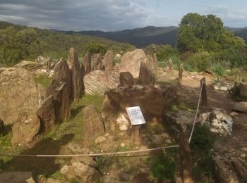 Trail Walking La Londe-les-Maures - La Londe les Maures le col du merle et Dolmen de Gaoutabry - Photo