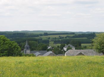 Tocht Te voet Habay - Sentier de la Cornaille - Photo