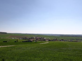 Excursión A pie Röttingen - Liebliches Taubertal 25 Sonnenuhren und Brücken - Photo