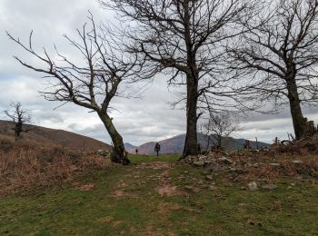 Trail Walking Saint-Martin-d'Arrossa - le sentier des mines en passant par le sommet du Larla - Photo