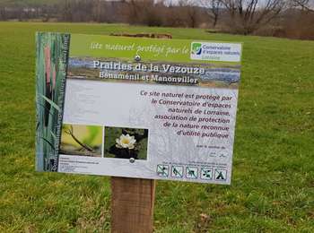 Trail Mountain bike Saint-Clément - sortie vtt du 12012020 Ogeviller - Photo