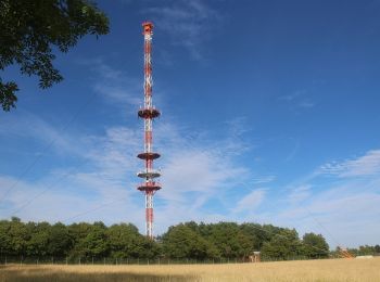 Excursión A pie Meeder - Oberlauter - Donnerloch - Alexandrinenhütte - Photo