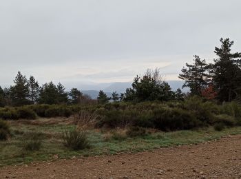 Tour Wandern La Bastide-Puylaurent - Chemin de Stevenson J6 : la Bastide Puylaurent - Chasseradès - Photo