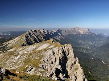 Excursión Senderismo Gresse-en-Vercors - Roche Rousse - Photo