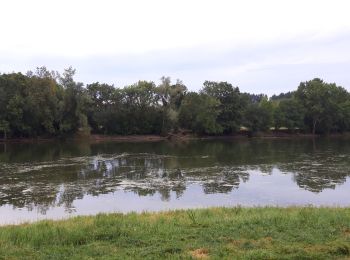 Tour Wandern Bouchemaine - Bouchemaine - Photo