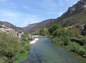 Randonnée Marche La Malène - Voyage au pays des vautours  - Photo