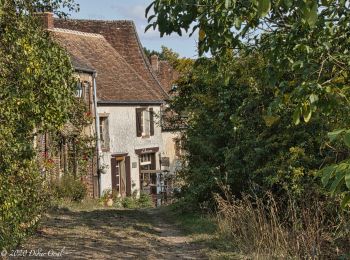 Percorso Marcia Moutiers-au-Perche - Le Mont Harou 3.8 Km - Photo