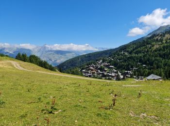 Percorso Marcia La Plagne-Tarentaise - La Plagne Village Belle Plagne Bellecôte Plagne 1800 Plagne Centre  - Photo