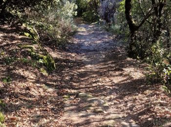 Tour Wandern Saint-Maurice-en-Chalencon - 07 gliuras n2 suite - Photo