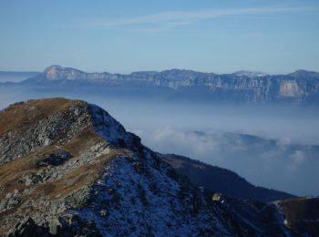 Tour Wandern Saint-Léger - Pointe de Rognier par Saint Léger - Photo