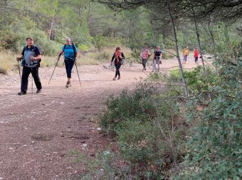 Tocht Stappen Peynier - Les Michel  - Photo