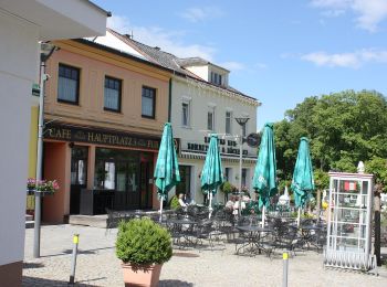 Randonnée A pied Gemeinde Bad Sauerbrunn - Bad Sauerbrunn (Gesundheitszentrum) - Rosalia Kamm-Wanderweg - Photo