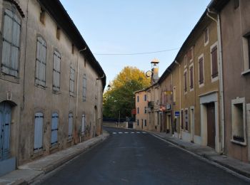 Trail On foot Moux - sur les pas de Roland - Photo