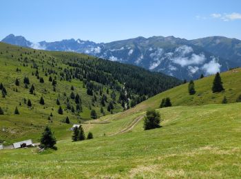 Tocht Stappen Lüsen - Luson - Lüsner Alm - Sommet du Campill - Photo