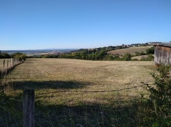 Tour Wandern Dehlingen - Dehlingen Remelfing - Photo