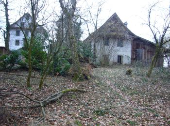 Randonnée A pied Zoug - Schönegg - In den Bächen - Photo