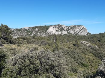 Randonnée Marche Eygalières - Petit et Gros Calan - Photo