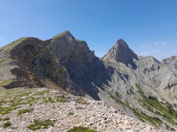 Percorso Marcia Saint-Julien-en-Beauchêne - les 4 cols : Lus la Croix Haute - Photo