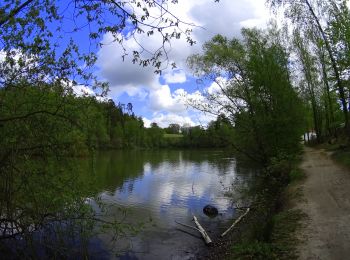 Randonnée V.T.T. La Hulpe - VTT sur la forêt de soignes - Photo