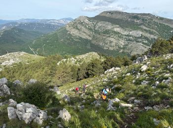 Tocht Stappen Saint-Vallier-de-Thiey - St Vallier : Colle du  maçon doublier  - Photo