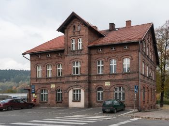 Tocht Te voet Czerwieńczyce - Szlak pielgrzymkowy Nowa Ruda-Bardo - Photo