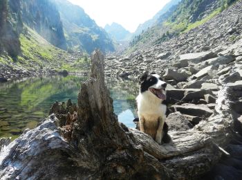 Percorso A piedi Canal San Bovo - IT-E336 - Photo