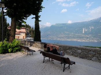 Percorso A piedi Tremosine sul Garda - Pieve, Vesio - Photo