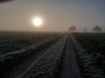 Tocht Stappen Serquigny - version de monbuisson - Photo