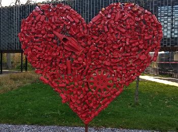 Trail Walking Fosses-la-Ville - ELVOBAL-FOSSES LA  VILLE  -nov 2020 - 10kms - Photo