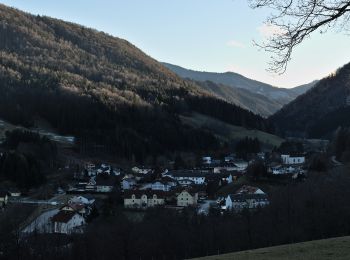 Excursión A pie Gemeinde Kleinzell - Landstal (Hainfeld) - Schönleiten - Salzerbad - Photo