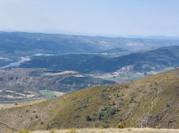 Randonnée Marche nordique Digne-les-Bains - Digne-les-Bains / landran - Photo