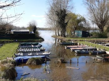 Excursión Senderismo Arleux - Les marais d'Arleux - Photo