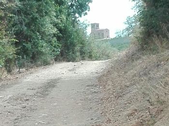 Tocht Stappen Saint-Laurent-d'Agny - chapelle st Vincent 26-08-2020 - Photo