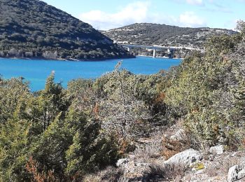 Excursión Senderismo Bauduen - Le lac de Sainte croix  avant bauduen - Photo