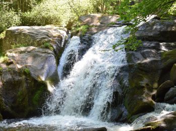 Tour Wandern Arfeuilles - 2022-06-10_09h22m43_La Cascade de la Pisserote - Photo