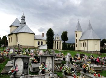 Randonnée A pied Polańczyk - Zielone wzgórza nad Soliną - Photo