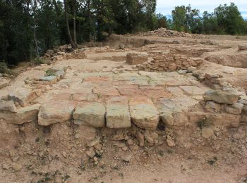 Tour Zu Fuß Solsona - Mare de la Font-Castellvell - Photo