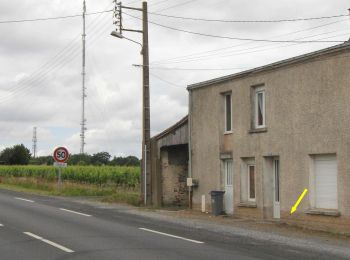 Excursión A pie La Haie-Fouassière - Entre Sèvre et Côteaux - Photo