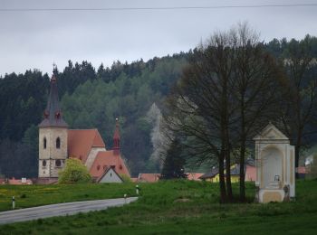 Excursión A pie Chvalšiny - NS Červený Dvůr - Photo